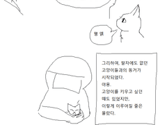 고양이화 혼마루