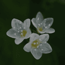 나는 나지 뭐겠어