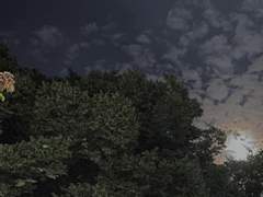 <초련잔월전> 전생01(주연視)