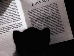 [동그란 선 안에 같혀있다]