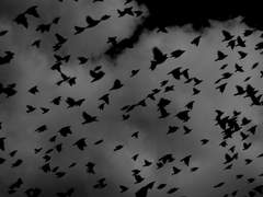 어른이 될 준비