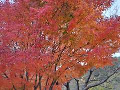 보기와는 다르게