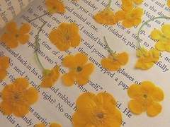 그것은 잊히지 않을 이야기