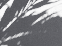 [세준] 집어삼키는 5.