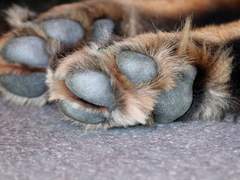 [사루카와 케이+쿠사나기 리카이NCP] 저스티스