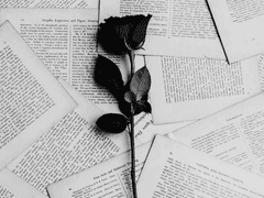 센티넬,가이드 양성학교 00