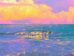 박하 글 커미션(24.2.10 수정)