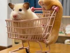 나페스 궁합 맛집에서 몬스타엑스 유기현 주문해본 후기 - 1