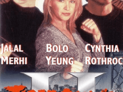 A339) 타이거 클로스 (Tiger Claws 2, 1996)