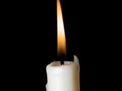 自歸依 法歸依 自燈明 法燈明