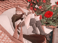 *유니콘을 찾습니다*