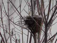 열쭝이, 열중 쉬엇!