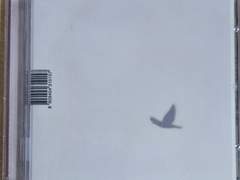 언니네 이발관 5집 <가장 보통의 존재>