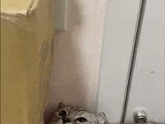 나페스 궁합 맛집에서 몬스타엑스 임창균 주문해본 후기 - 1