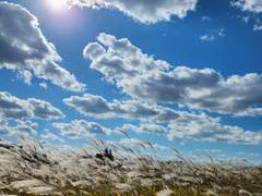 4. 또 다른 빌런의 등장