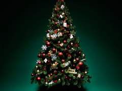 크리스마스 내기 썰