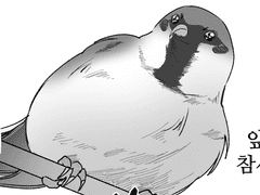 봉식이방앗간 원고