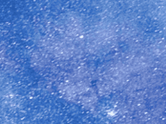 세상에서 가장 멋진 집사에게 보내는……