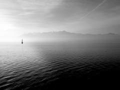 그들은 배를 타고 <와나카 소이치로>