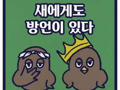 새에게도 방언이 있다