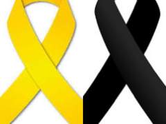 당신은 세월호와 이태원의 차이를 아시나요?