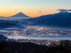 얼어붙은 호수 위로 고양이가 걸어간다