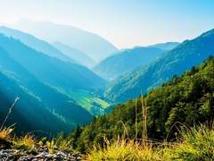 [산즈] 사랑에 빠진 벚꽃 9