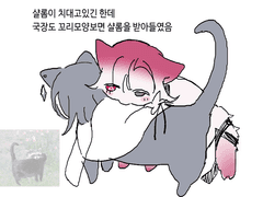 20231221 받아들였음