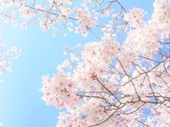 [킨키 KT] 사랑하는 사람들