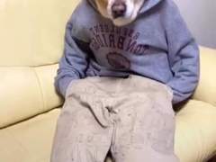 고맙ㅅㅂ니다.talk