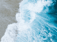 환승연애 Prologue