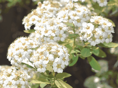 고립된 예술가에게