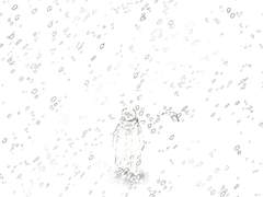 감정의 5가지 형태