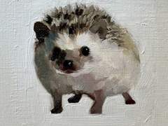 [SIRA] 반려동물 실사 커미션!