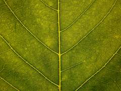 [0-2] 톱니바퀴의 이름