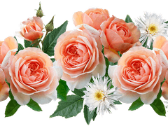 걱정을 가장한 배려