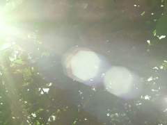 사랑하지 않으려 했건만