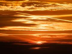 지한 / XY / 외관 나이 30대 중반