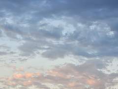 profile :: 양서월