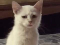 그니까 얘네들이 왜 여기있는 건데요;