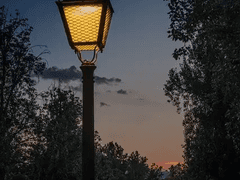 花落憐不掃月明愛無眠