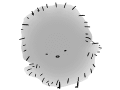 잔불의 기사 새까만 닭 와론 50~73