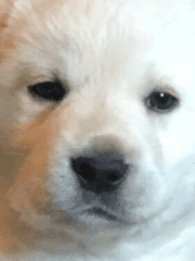 김여주! 엔시티로 출근했습니다~(스핀오프)