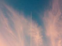 빛으로 향하는 길