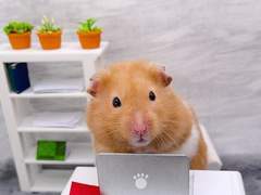 몬스타엑스 형원이랑 환승연애 시즌 1 찍고 온 후기