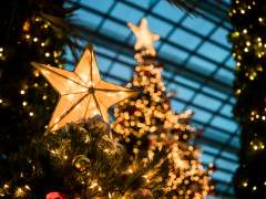 [고죠우타]소원을 말해봐 - 下