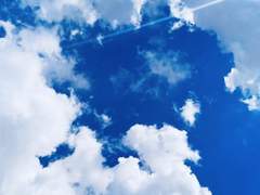 그건 그것대로.