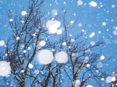 첫사랑은 쌓이는 눈처럼