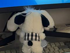 하지만 크리스마스 전에 왔습니다.