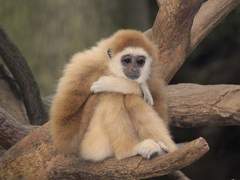 今日を生き延びよう